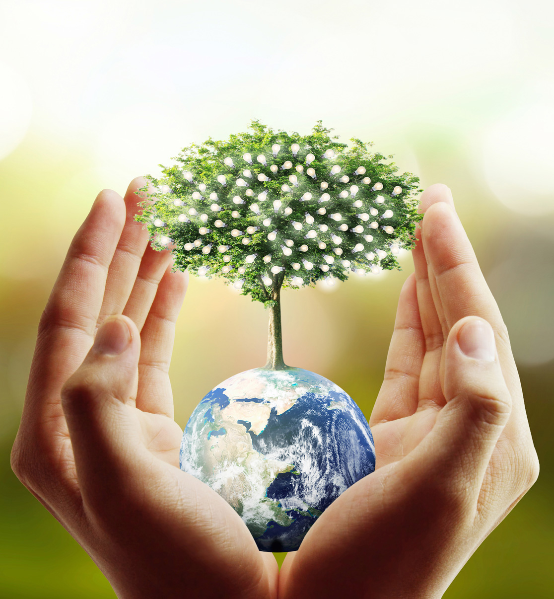 Cavas International BV, is your premier destination for top-quality food ingredients and additives globally. Cavas International BV, is your premier destination for top-quality food ingredients and additives globally.