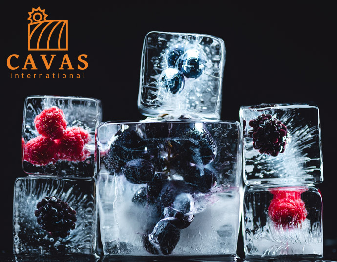 CAVAS International BV - Supplier & producer of frozen fruits & seeds CAVAS International BV - Supplier, producer of frozen fruits and seeds
