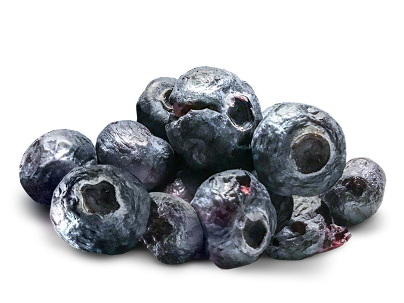 Freeze dried blueberries - CAVAS International
